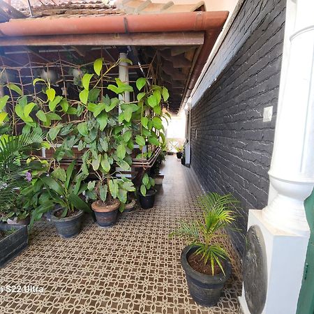 Kairali Palace Home Stay Thekkady Zewnętrze zdjęcie